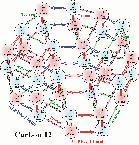        The carbon12 nucleus has 
three alpha-1 and three alpha-2 bonds