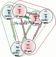 Deuterium with the quarks
electrical charges lined up