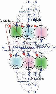 Magnetic field of Deuterium