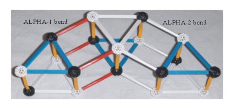 ZOME model of the lithium6 nucleus

the alpha-1 bonds are show with red struts
                    and 
the alpha-2 bonds are show with white struts 