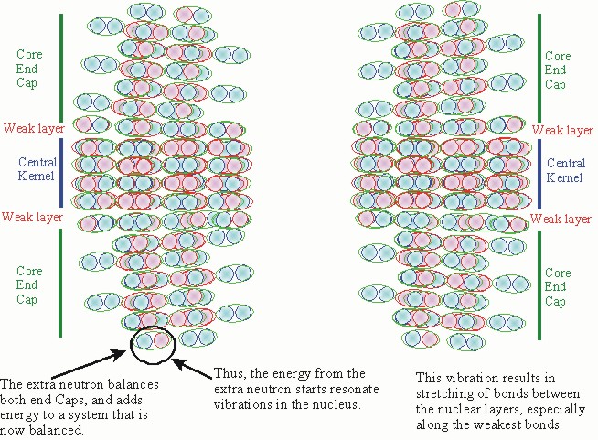 U236 can vibrate harmonically because the End Caps
are equal. U236 does vibrate harmonically because of the 
energy gained from the neutron