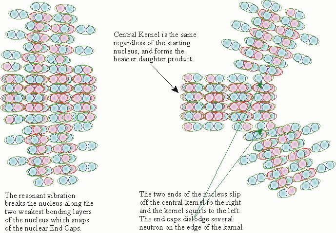 The vibrating nucleus breaks along weak planes 
creating the heavy daughter product from the Center 
Kernel, plus two semi-free End Caps