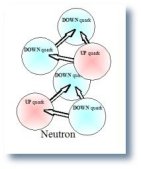 neutron-neutron
quark electrical charges repel