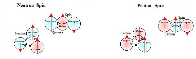 Possible spins of protons and neutrons