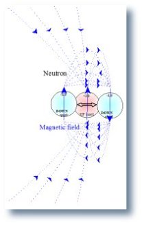 Model of the magnetic field and spin of a neutron