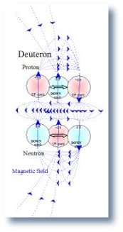 Model of the magnetic field and spin of the deuteron